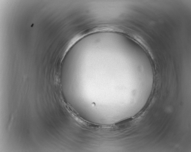 X0000078021481200611171900