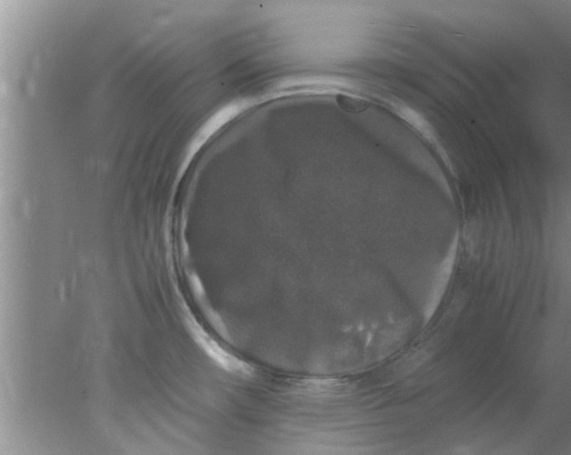 X0000078021482200611171900