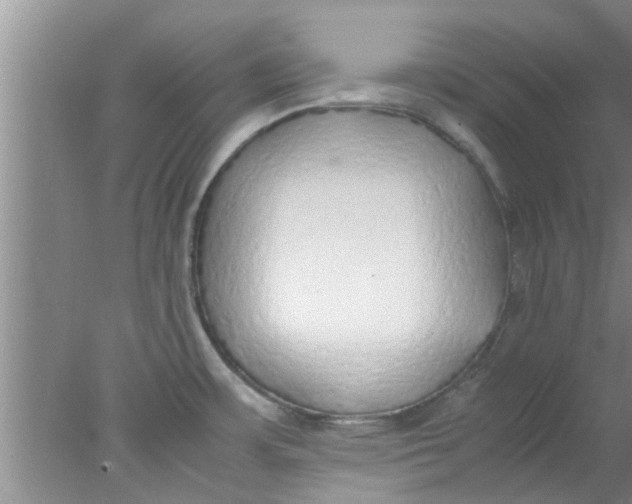 X0000078021483200611171900