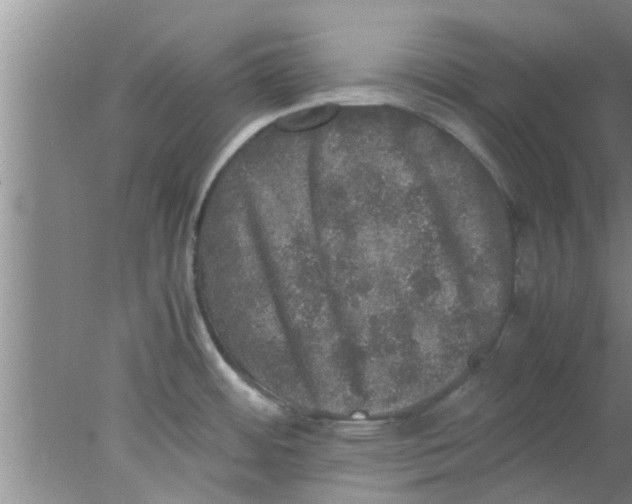 X0000078021484200611171900