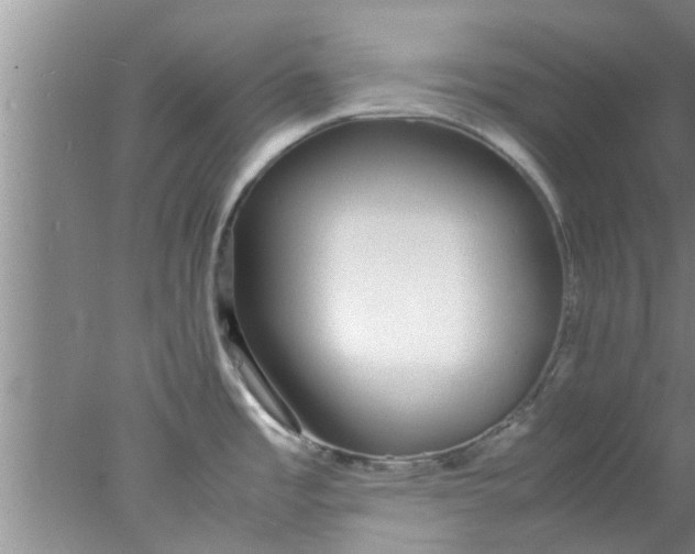 X0000078021485200611171900