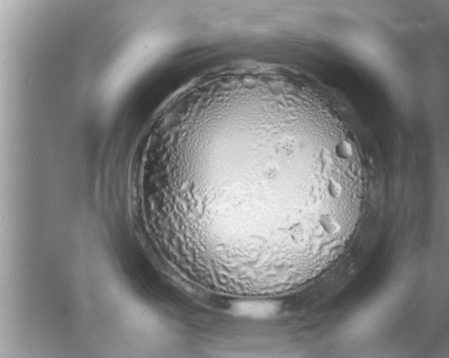 X0000078021487200611171900