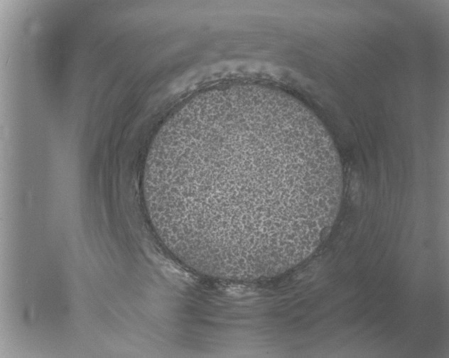 X0000078021489200611171859