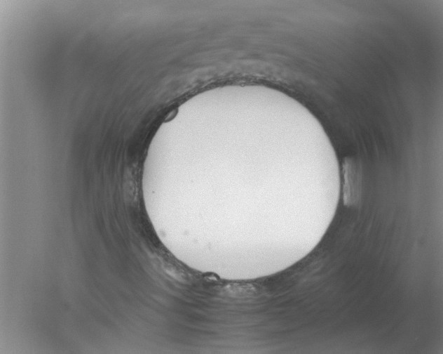 X0000078021491200611171859