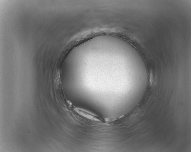 X0000078021492200611171859