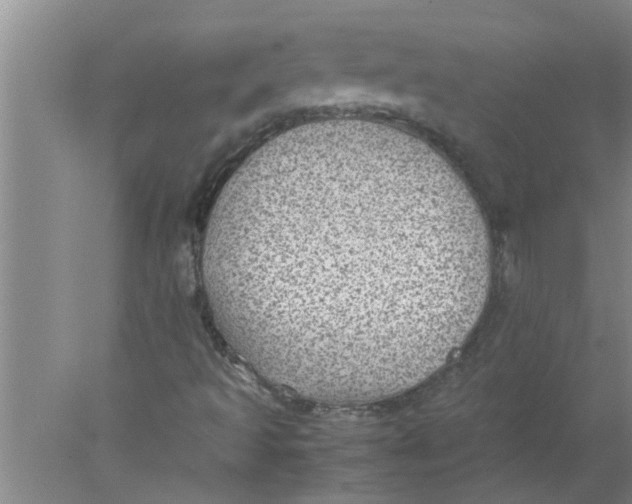 X0000078021493200611171859