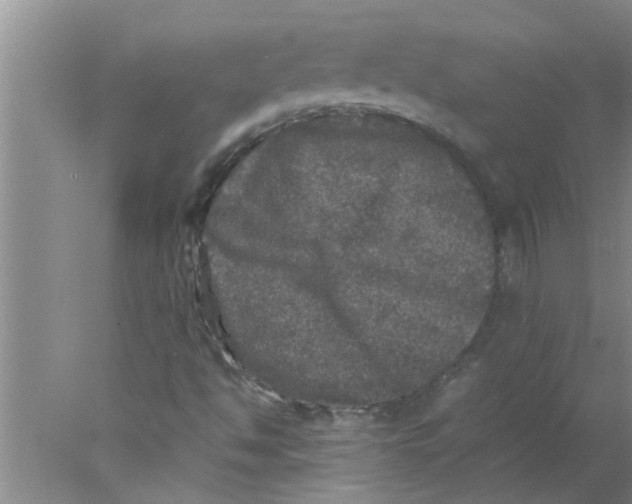 X0000078021494200611171859