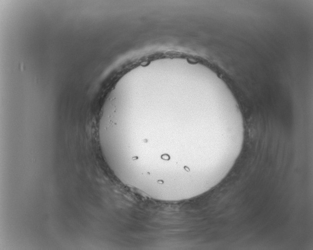 X0000078021495200611171859