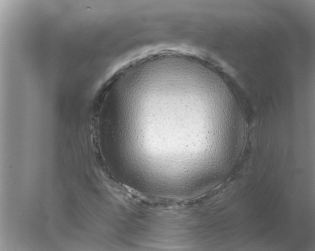 X0000078021496200611171859