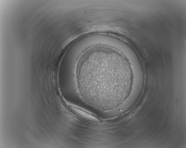 X0000078021497200611171859