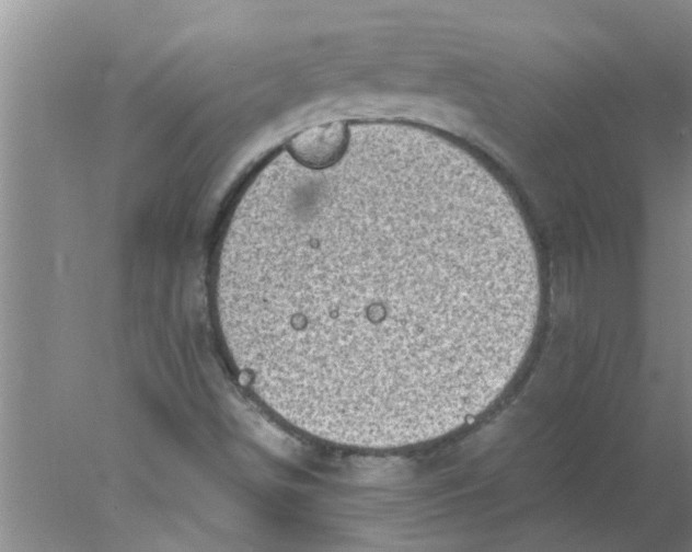 X0000078021498200611171859