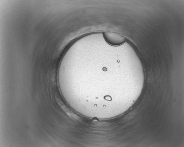 X0000078021499200611171859