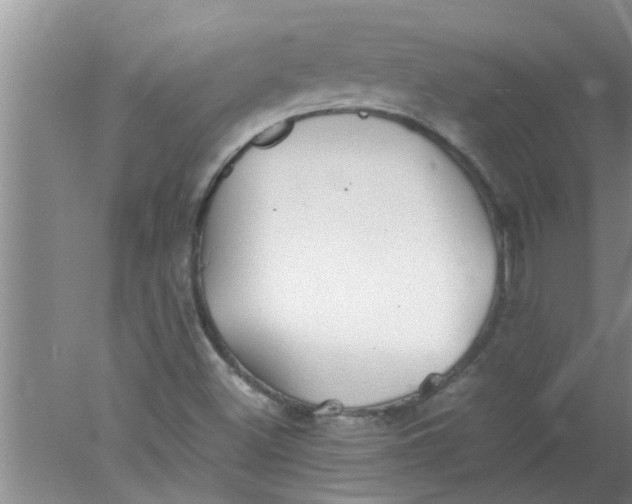 X0000078021500200611171859