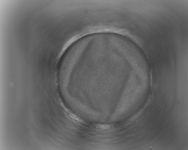 X0000078021501200611171859