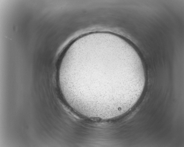 X0000078021502200611171859