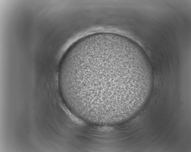 X0000078021503200611171859