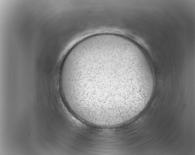 X0000078021504200611171859