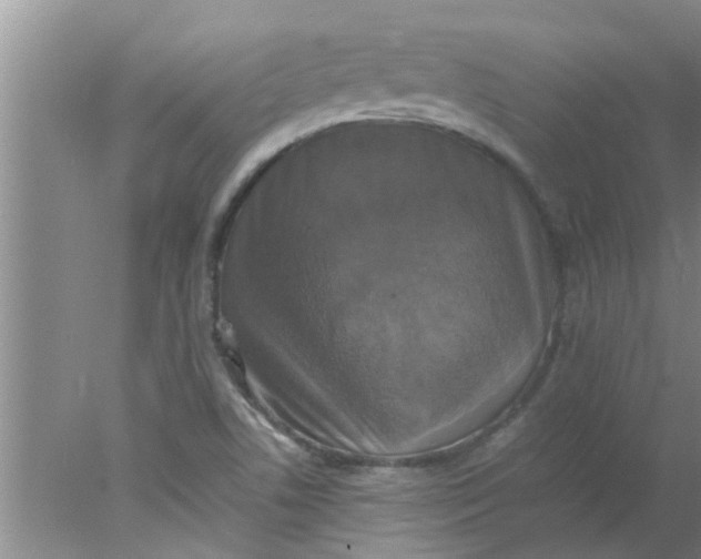 X0000078021506200611171859