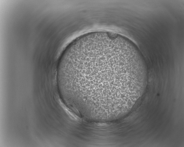 X0000078021507200611171859