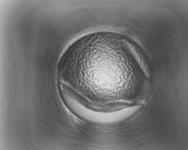 X0000078021508200611171859