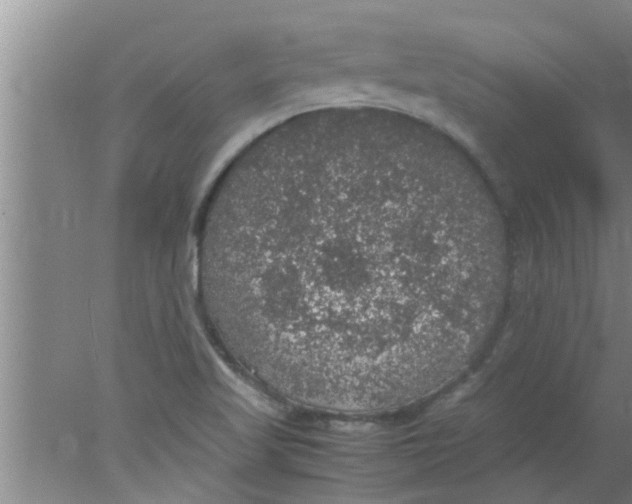 X0000078021509200611171859