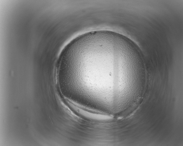 X0000078021510200611171859