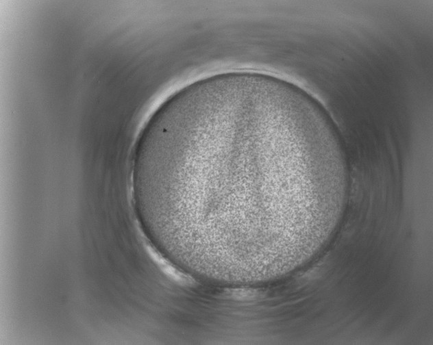 X0000078021511200611171859