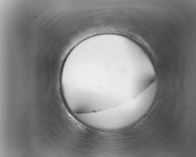 X0000078021512200611171859