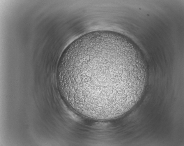 X0000078021513200611171859