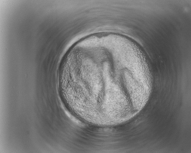 X0000078021515200611171859