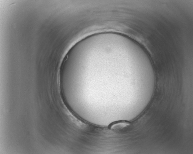 X0000078021516200611171859