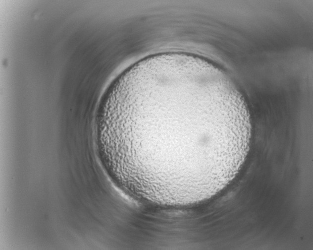 X0000078021517200611171859