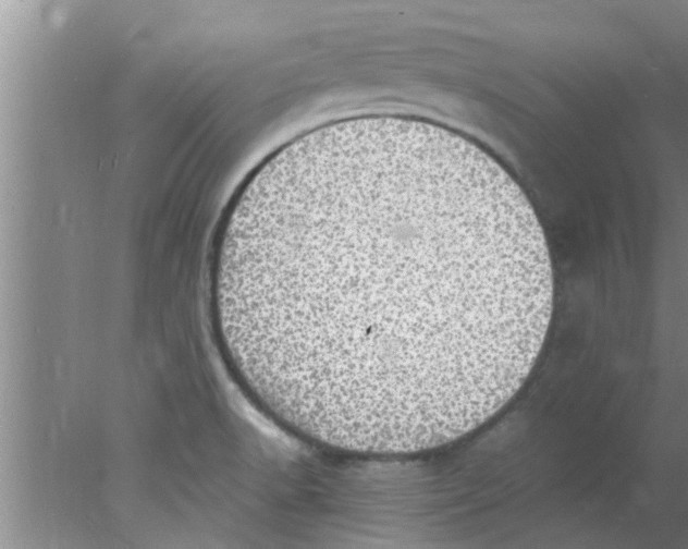 X0000078021518200611171859