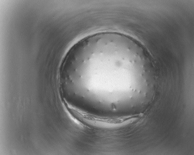 X0000078021519200611171859