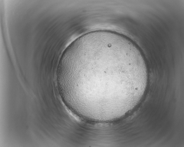 X0000078021521200611171859