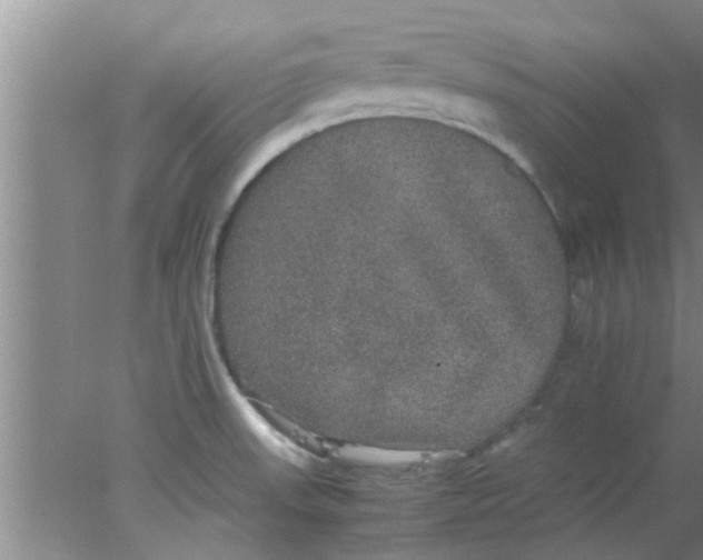 X0000078021523200611171859