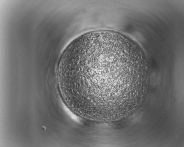 X0000078021524200611171859