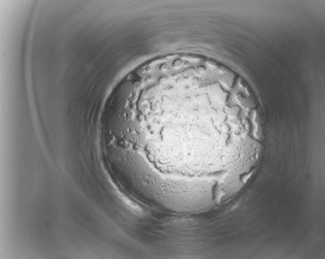 X0000078021525200611171900