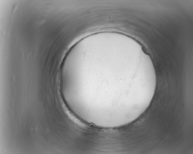 X0000078021526200611171900