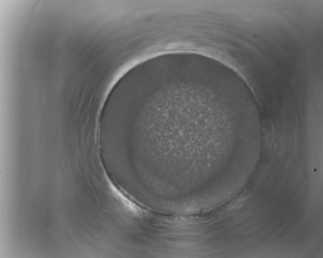 X0000078021527200611171900