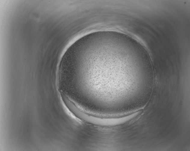 X0000078021528200611171900