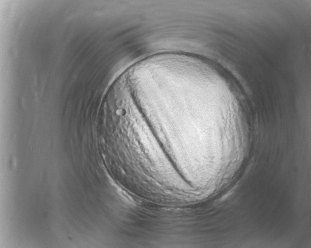 X0000078021529200611171900