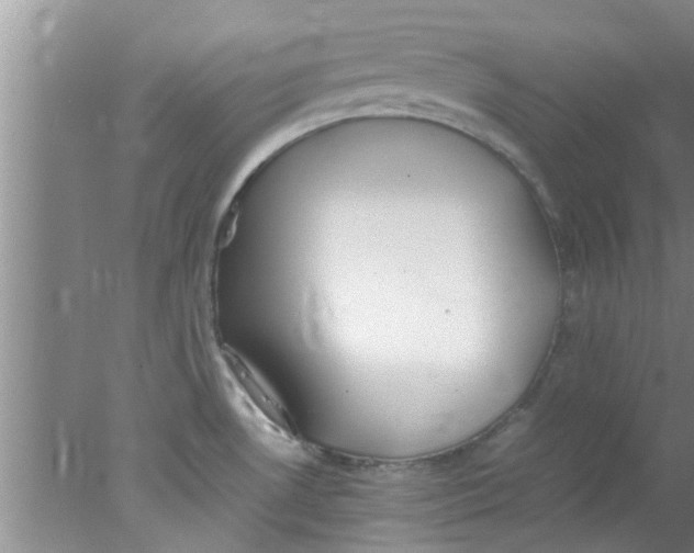 X0000078021530200611171900