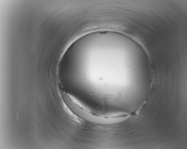 X0000078021532200611171900