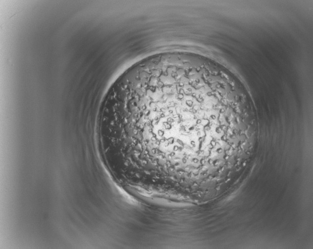 X0000078021533200611171900