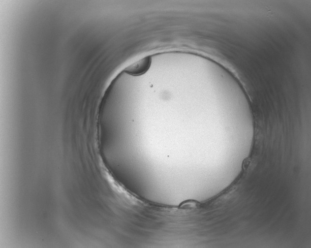 X0000078021534200611171900