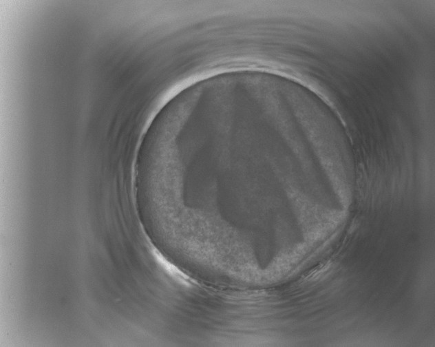 X0000078021535200611171900