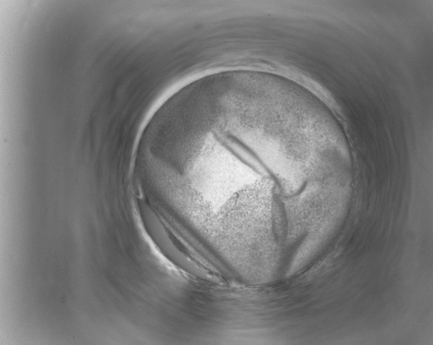 X0000078021536200611171900