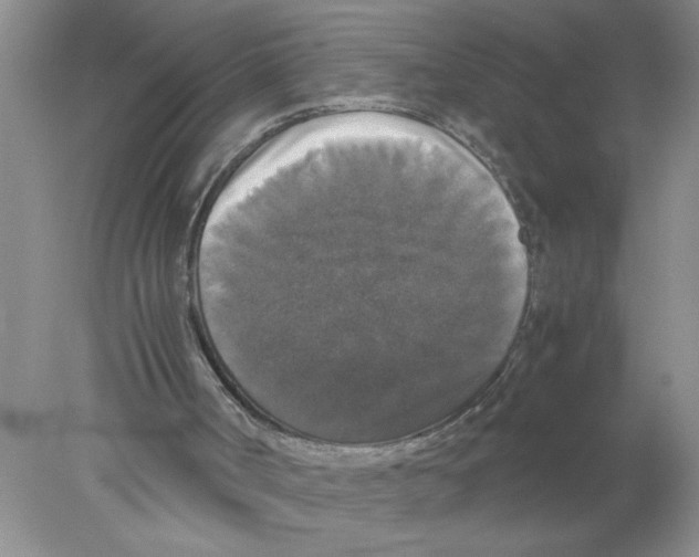 X0000078020002200611251542