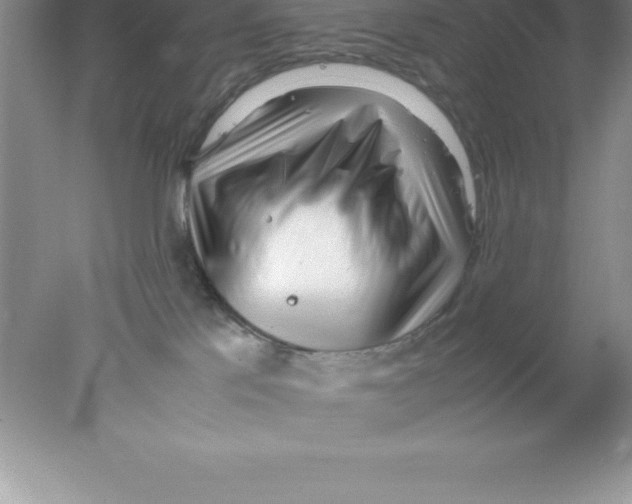 X0000078020041200611251541